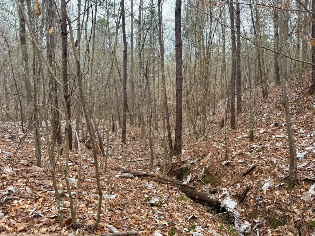 0 Co Road 3022 Double Springs AL 35553