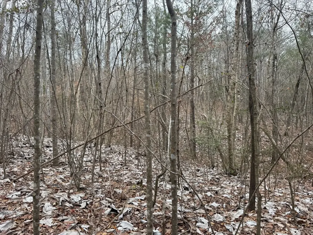 0 Co Road 3022 Double Springs AL 35553