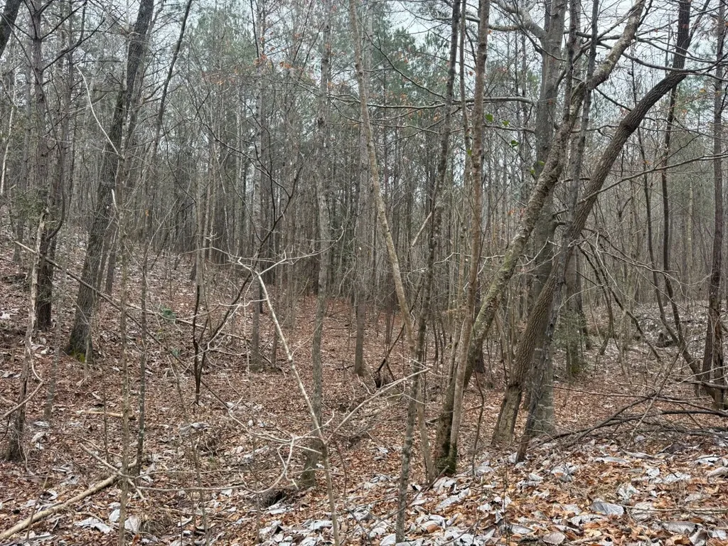 0 Co Road 3022 Double Springs AL 35553