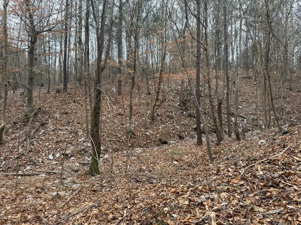 0 Co Road 3022 Double Springs AL 35553