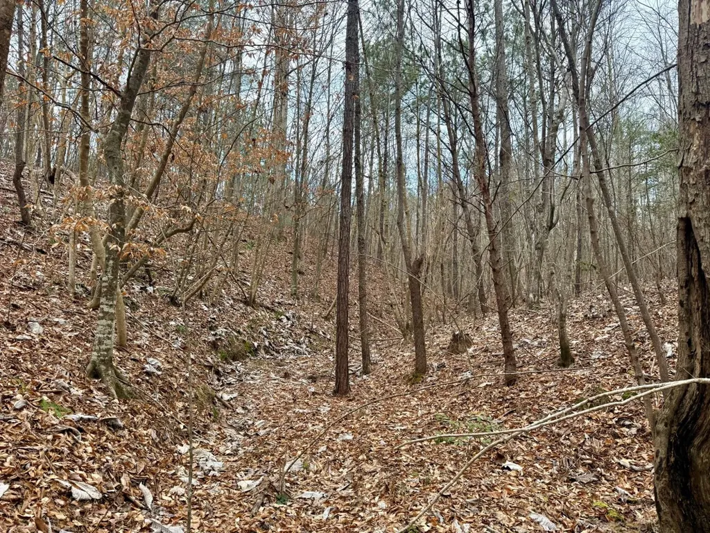 0 Co Road 3022 Double Springs AL 35553