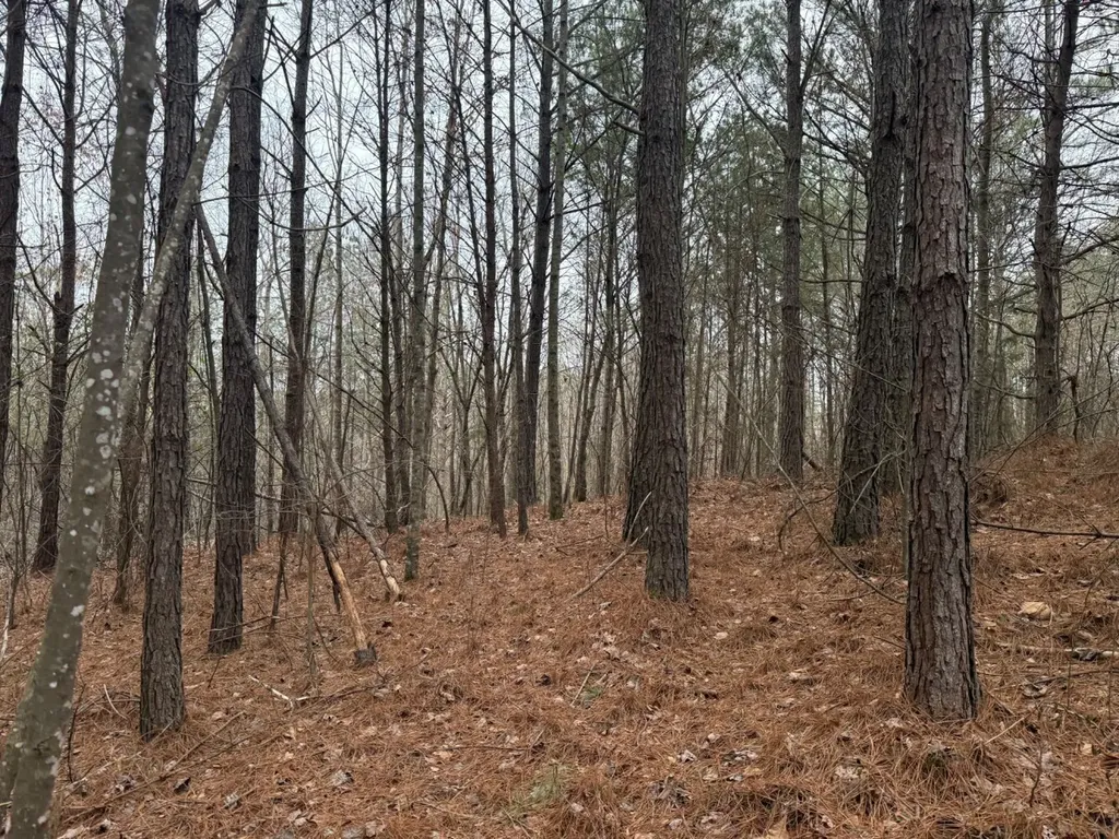 0 Co Road 3022 Double Springs AL 35553