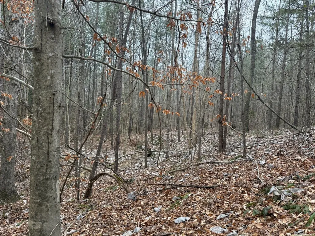 0 Co Road 3022 Double Springs AL 35553