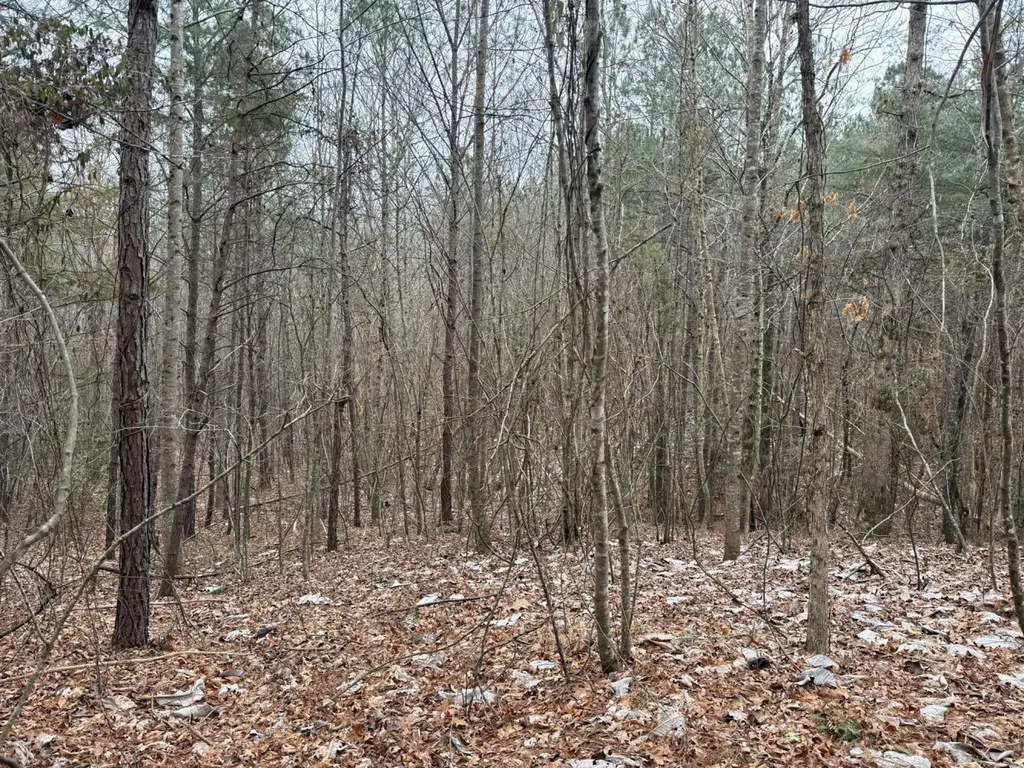 0 Co Road 3022 Double Springs AL 35553