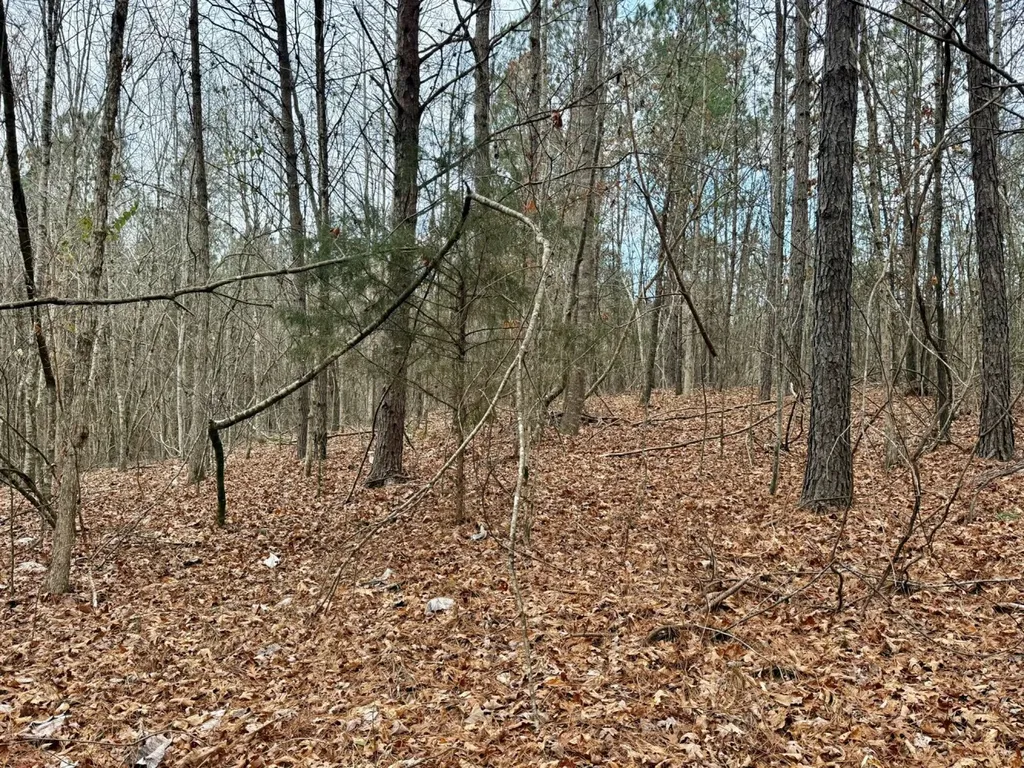 0 Co Road 3022 Double Springs AL 35553