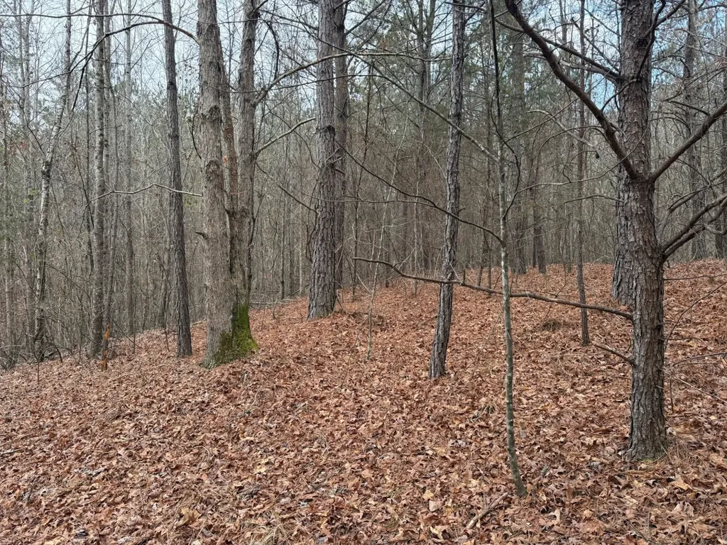 0 Co Road 3022 Double Springs AL 35553