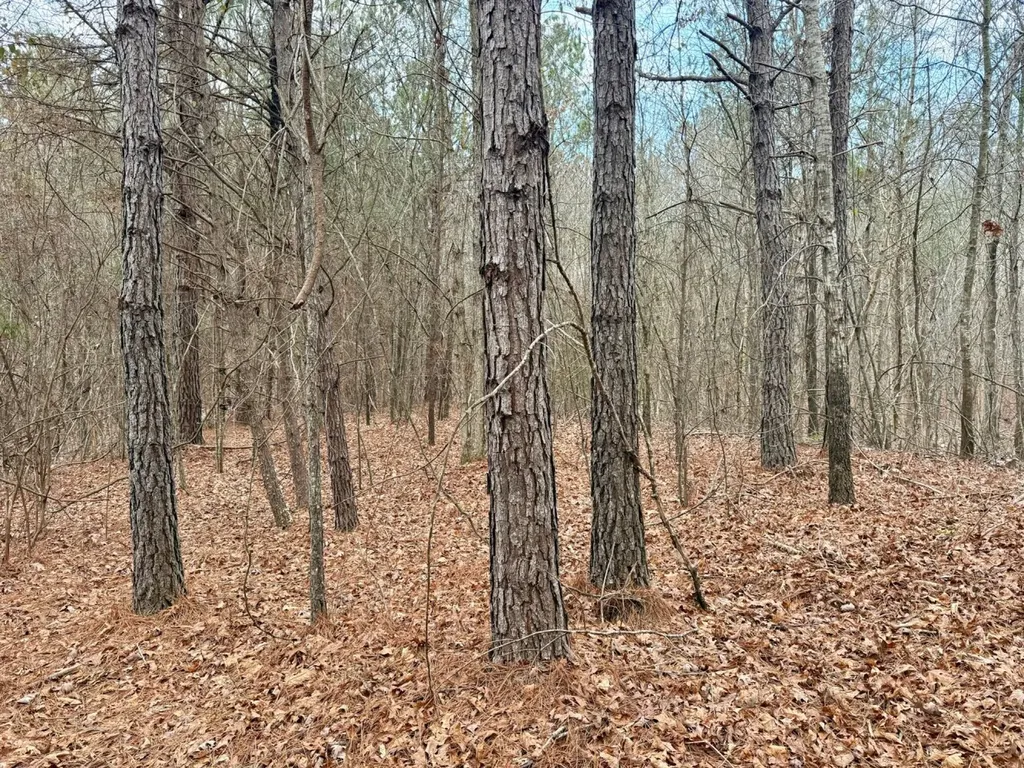 0 Co Road 3022 Double Springs AL 35553