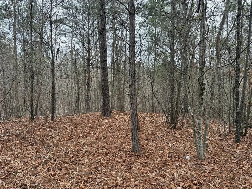 0 Co Road 3022 Double Springs AL 35553