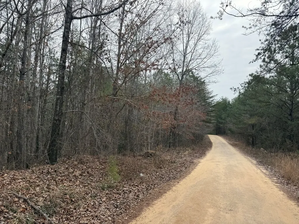 0 Co Road 3022 Double Springs AL 35553