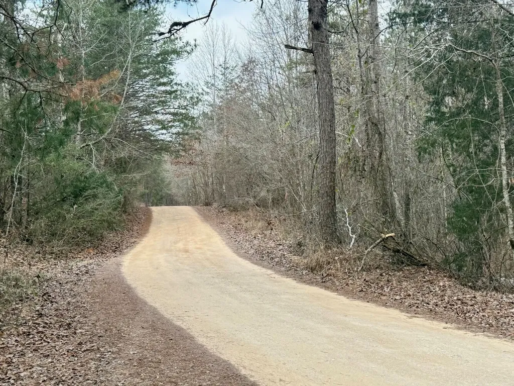 0 Co Road 3022 Double Springs AL 35553