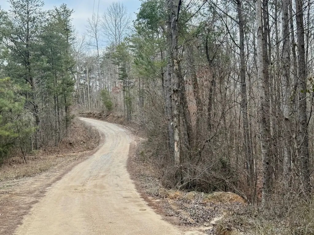 0 Co Road 3022 Double Springs AL 35553