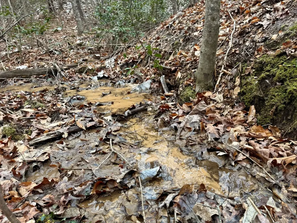 0 Co Road 3022 Double Springs AL 35553