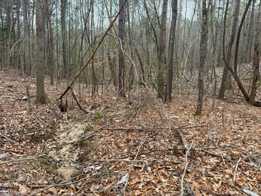 0 Co Road 3022 Double Springs AL 35553