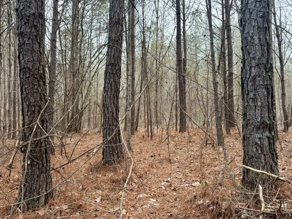 0 Co Road 3022 Double Springs AL 35553