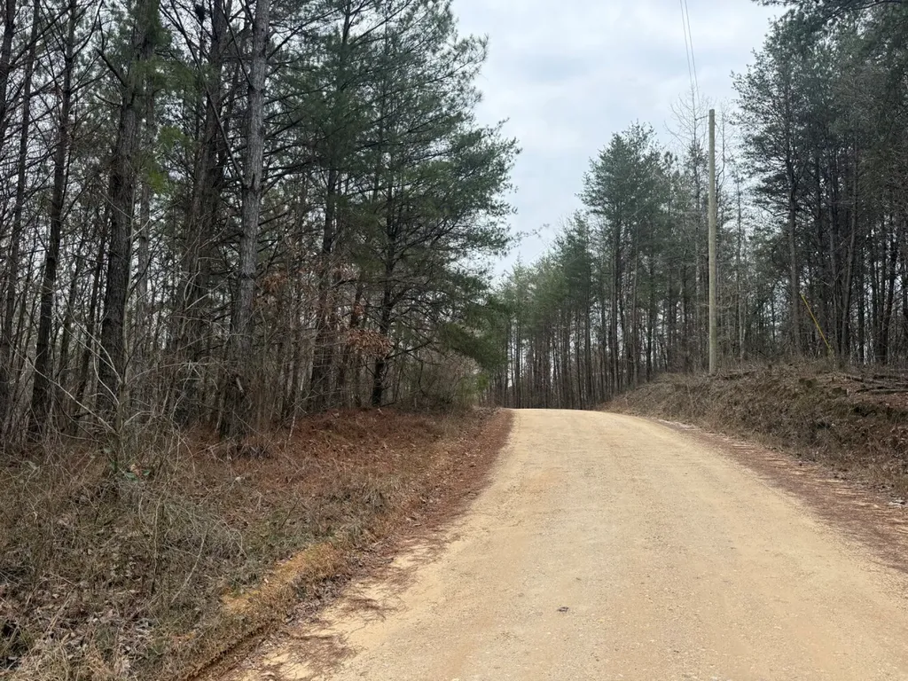 0 Co Road 3022 Double Springs AL 35553