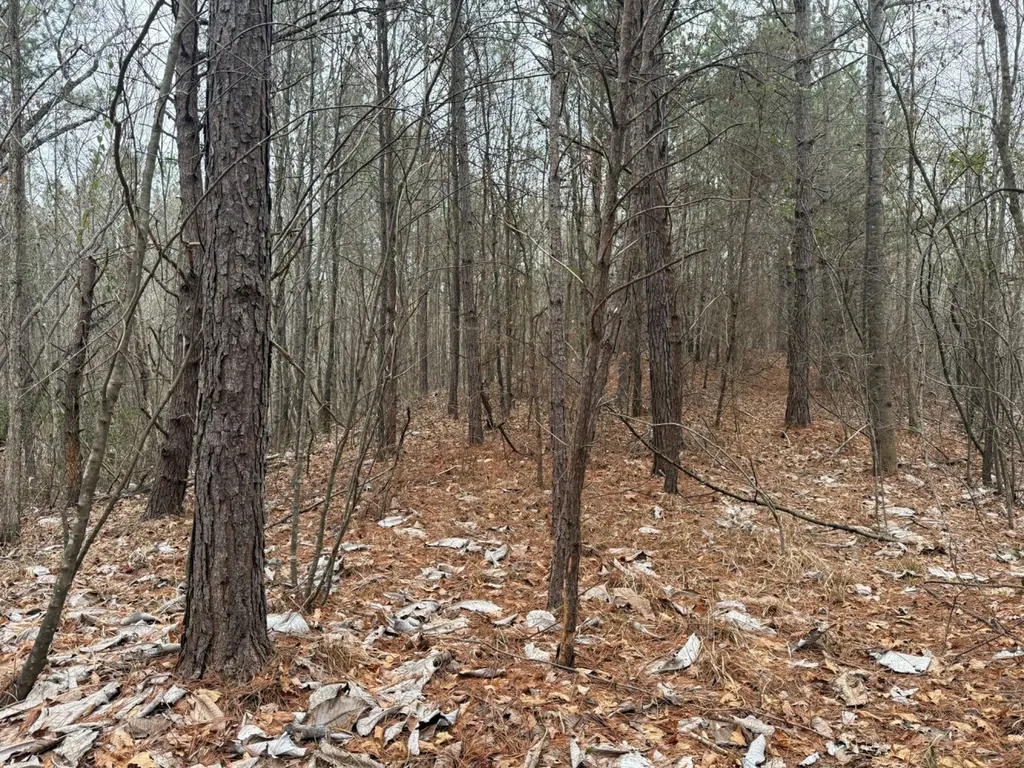 0 Co Road 3022 Double Springs AL 35553