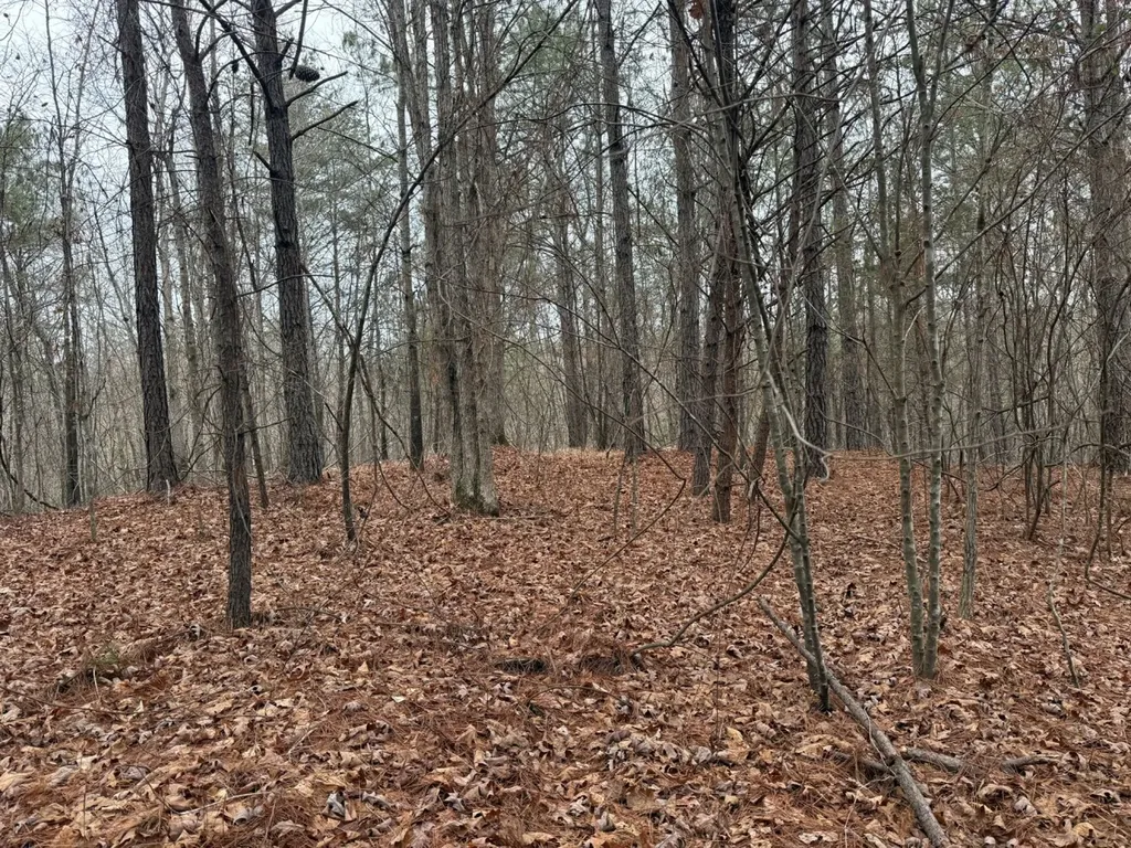 0 Co Road 3022 Double Springs AL 35553