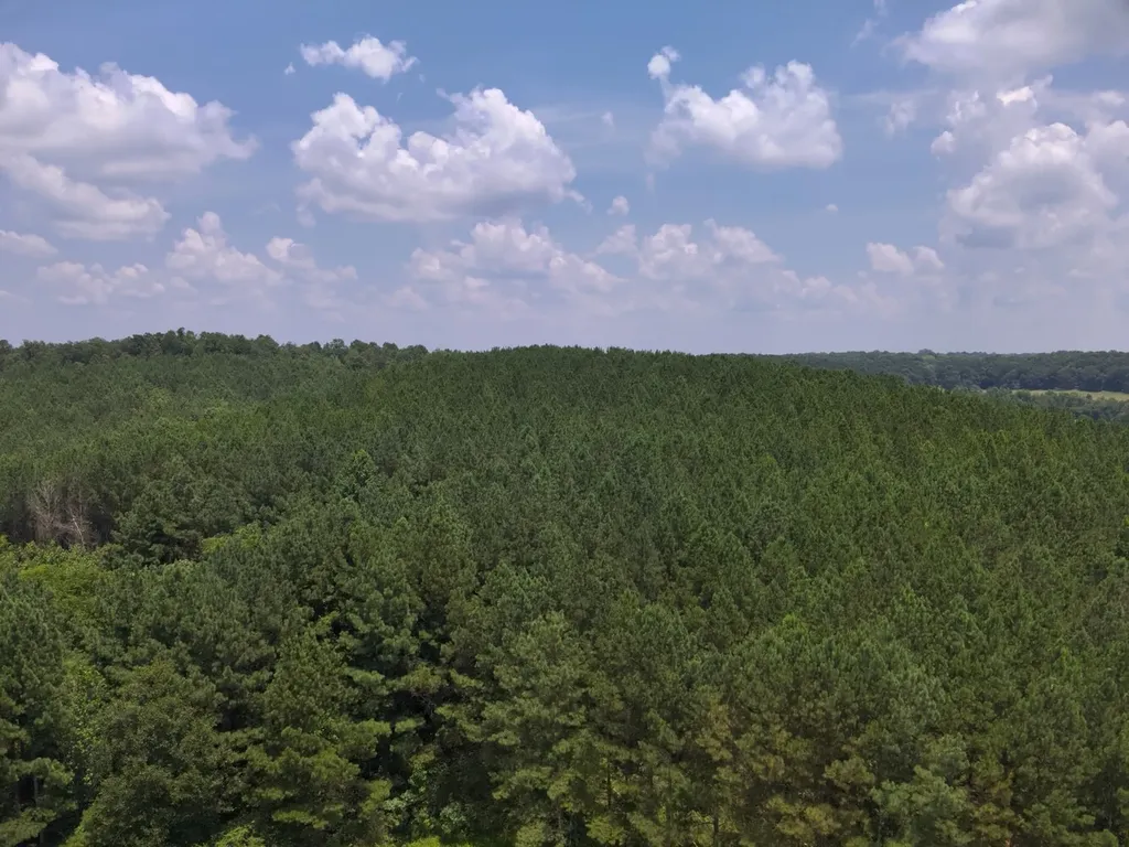 0 County Road 101, Tract 3 Bremen AL 35033