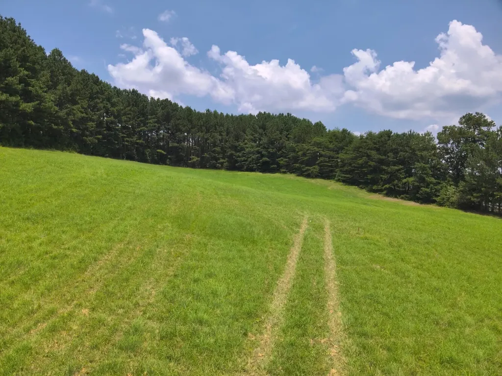 0 County Road 101, Tract 3 Bremen AL 35033