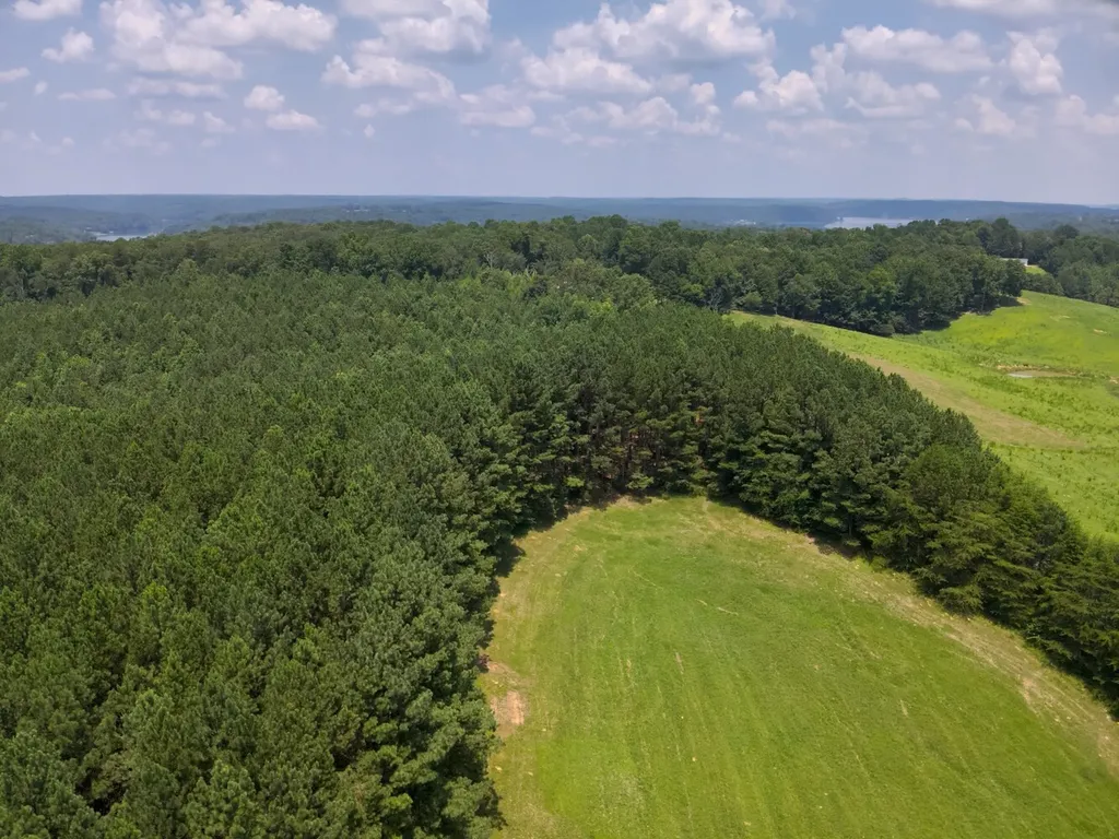 0 County Road 101, Tract 3 Bremen AL 35033