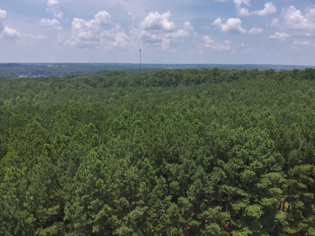 0 County Road 101, Tract 3 Bremen AL 35033