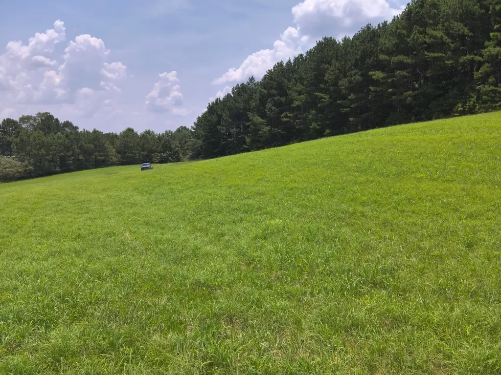 0 County Road 101, Tract 3 Bremen AL 35033