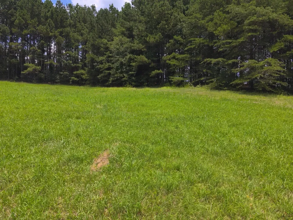 0 County Road 101, Tract 3 Bremen AL 35033