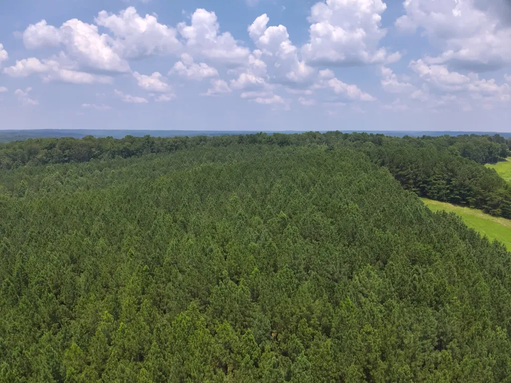 0 County Road 101, Tract 3 Bremen AL 35033