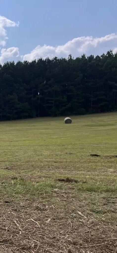 0 County Road 101, Tract 3 Bremen AL 35033