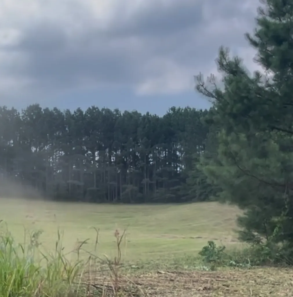 0 County Road 101, Tract 3 Bremen AL 35033