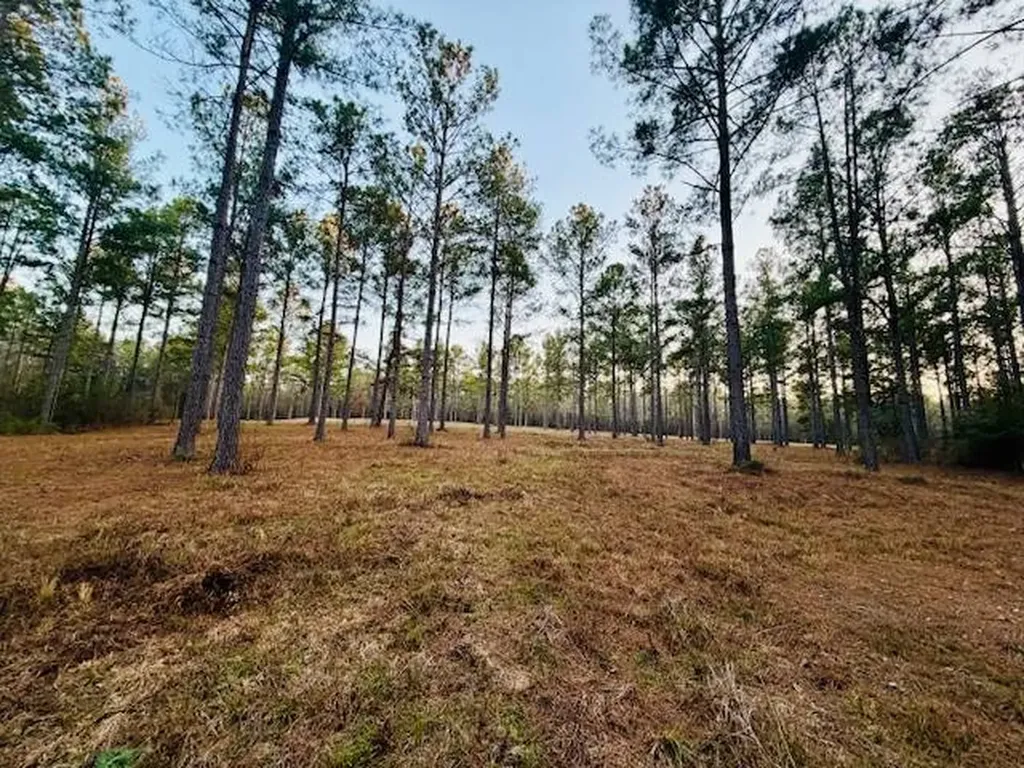 750 Shadow Creek Drive Camden AL 36726