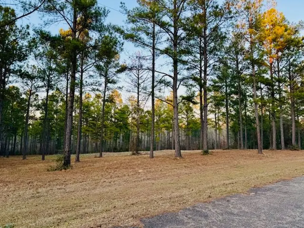 750 Shadow Creek Drive Camden AL 36726