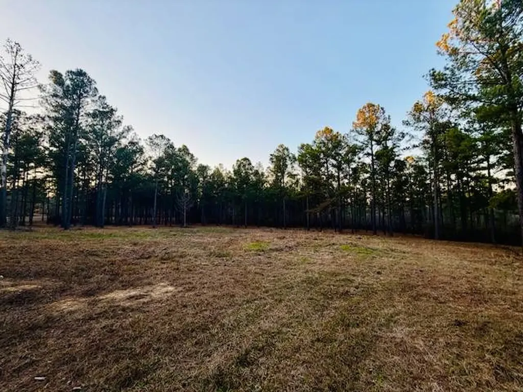 750 Shadow Creek Drive Camden AL 36726