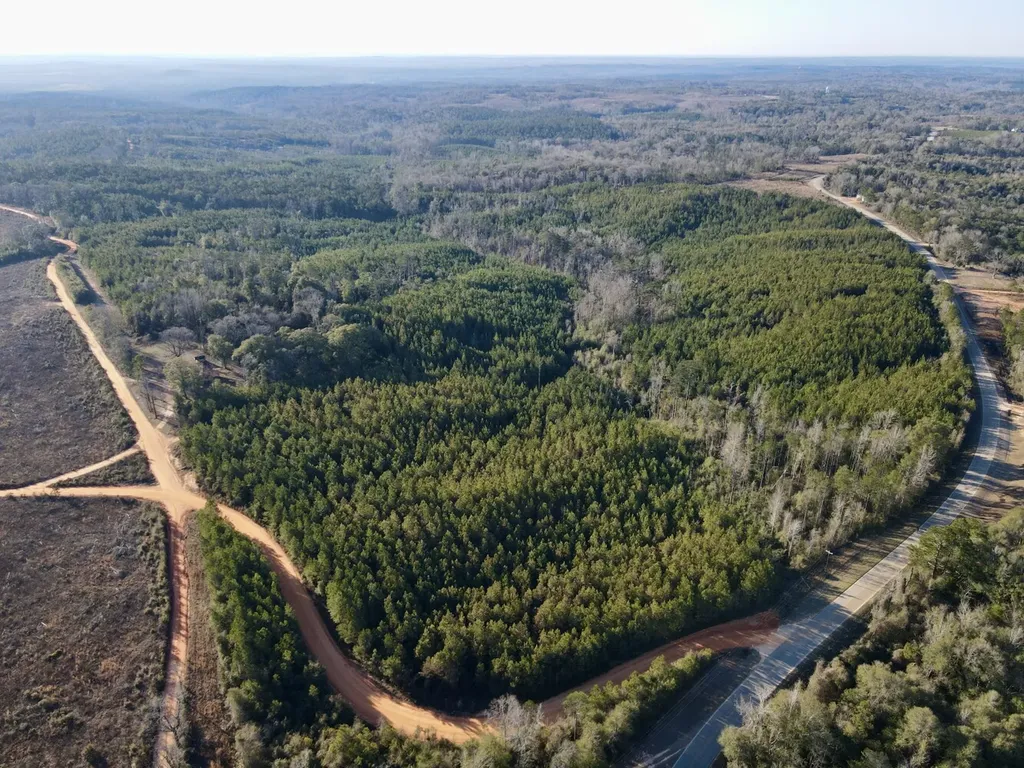 0 Amityville Road Whatley AL 36482