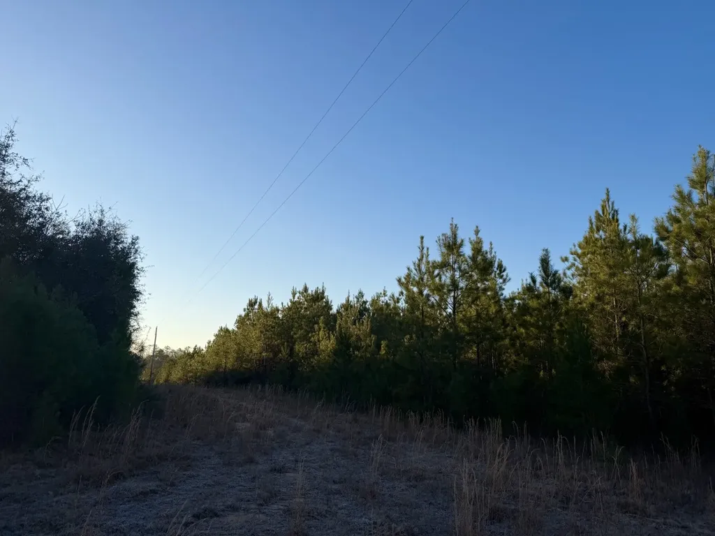 0 Amityville Road Whatley AL 36482