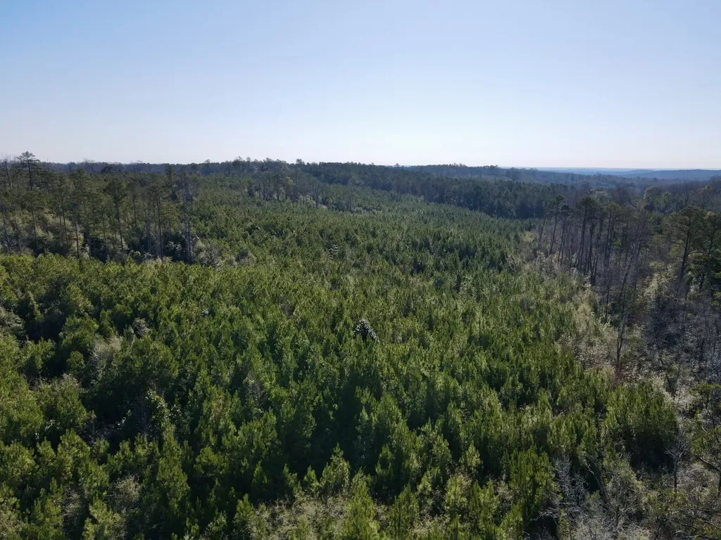 0 Amityville Road Whatley AL 36482