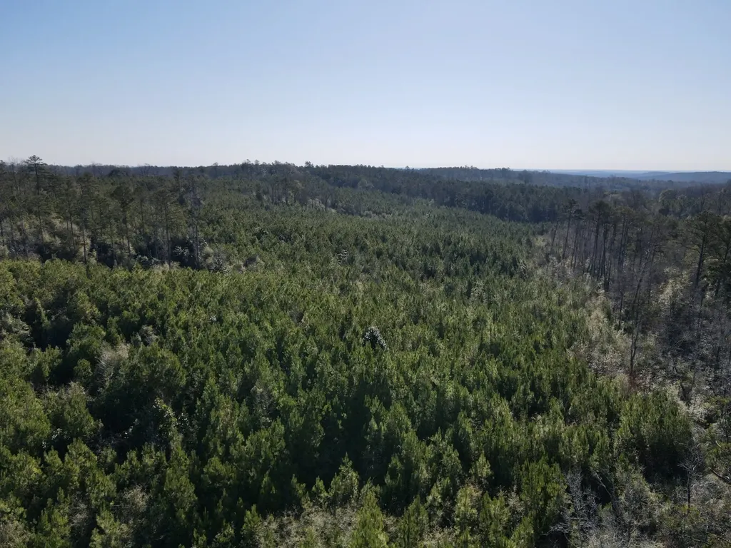 0 Amityville Road Whatley AL 36482