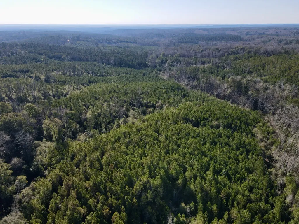 0 Amityville Road Whatley AL 36482