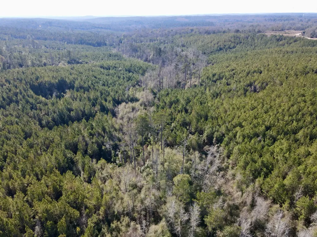 0 Amityville Road Whatley AL 36482