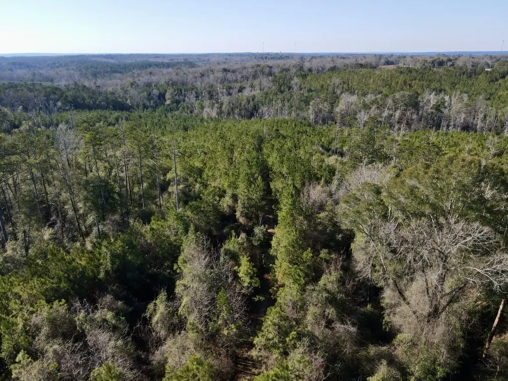 0 Amityville Road Whatley AL 36482