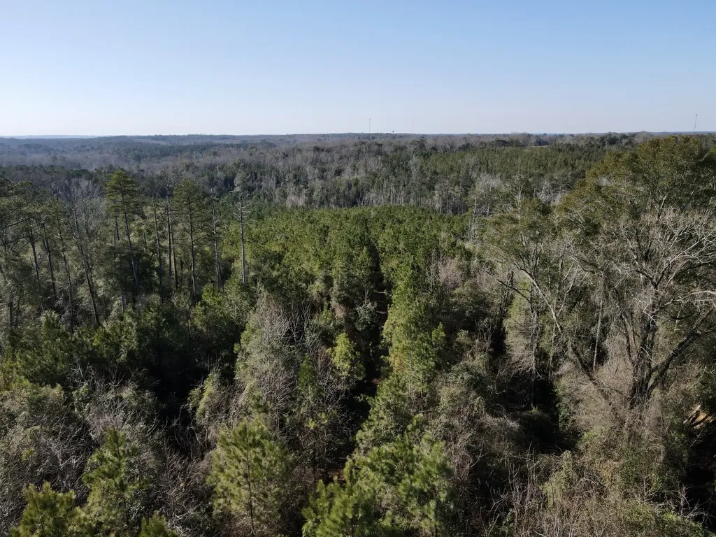 0 Amityville Road Whatley AL 36482