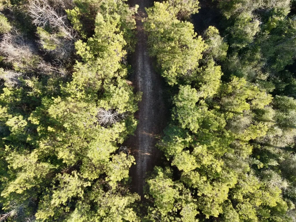 0 Amityville Road Whatley AL 36482