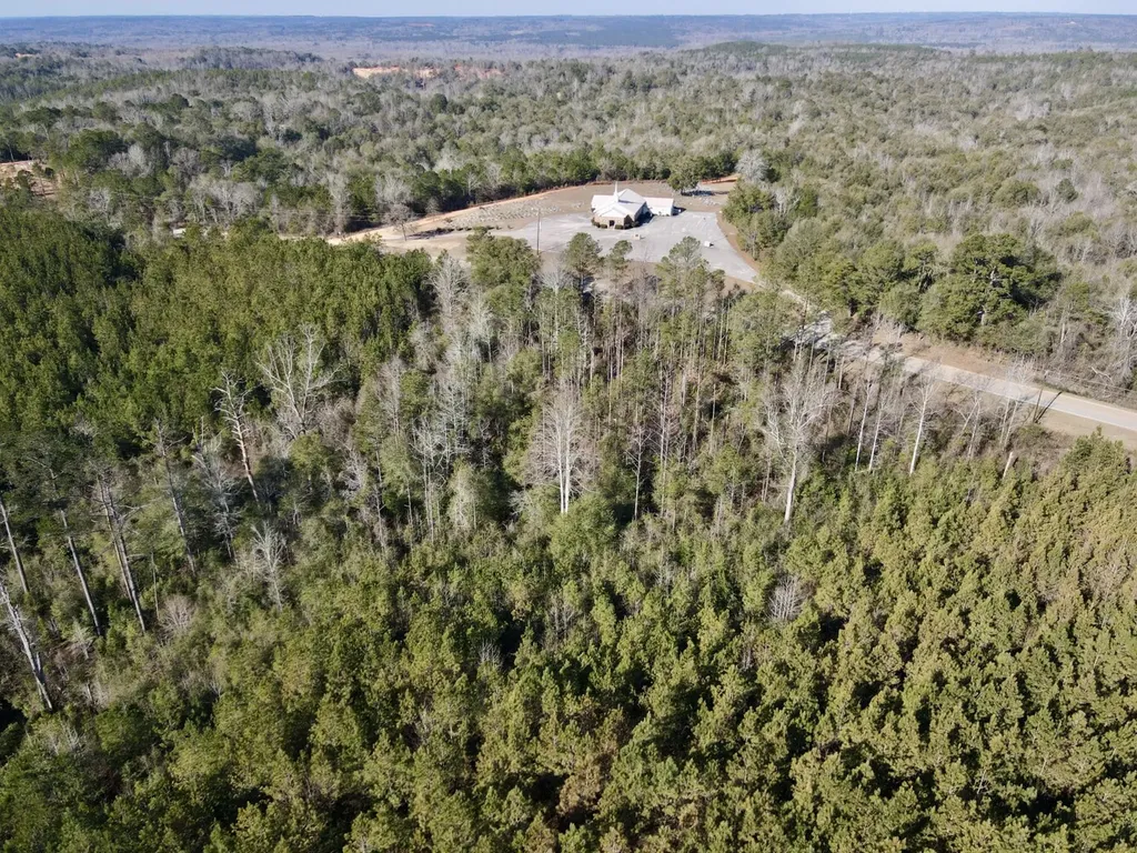 0 Amityville Road Whatley AL 36482