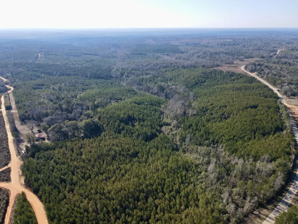 0 Amityville Road Whatley AL 36482