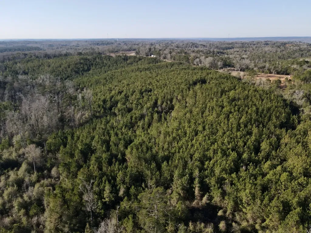 0 Amityville Road Whatley AL 36482