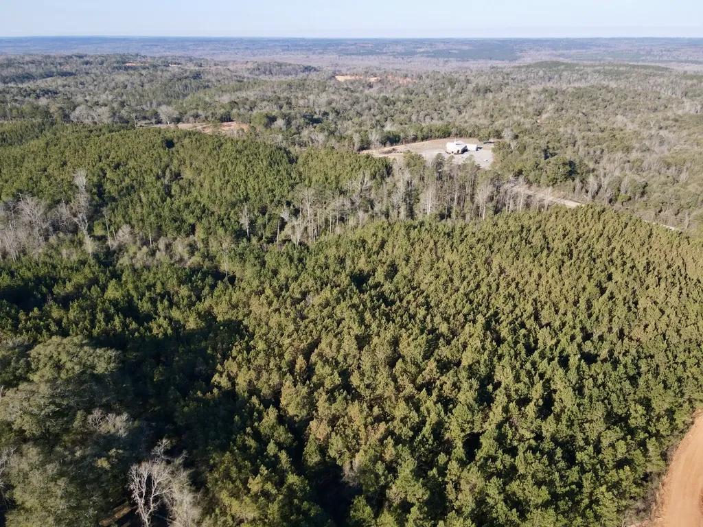 0 Amityville Road Whatley AL 36482