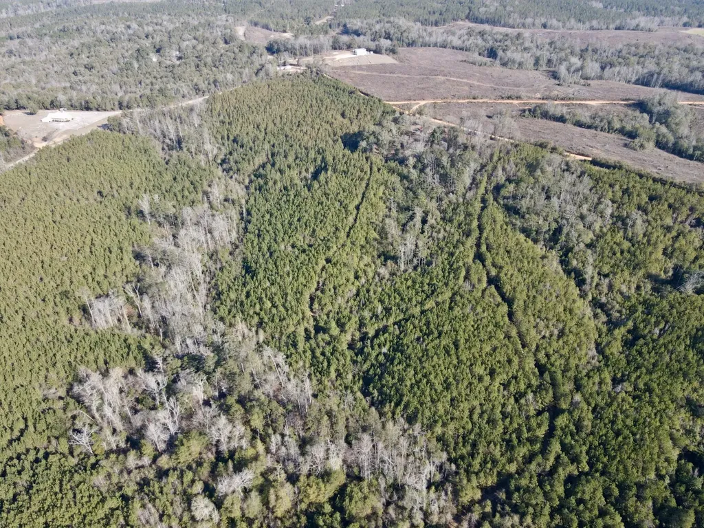 0 Amityville Road Whatley AL 36482