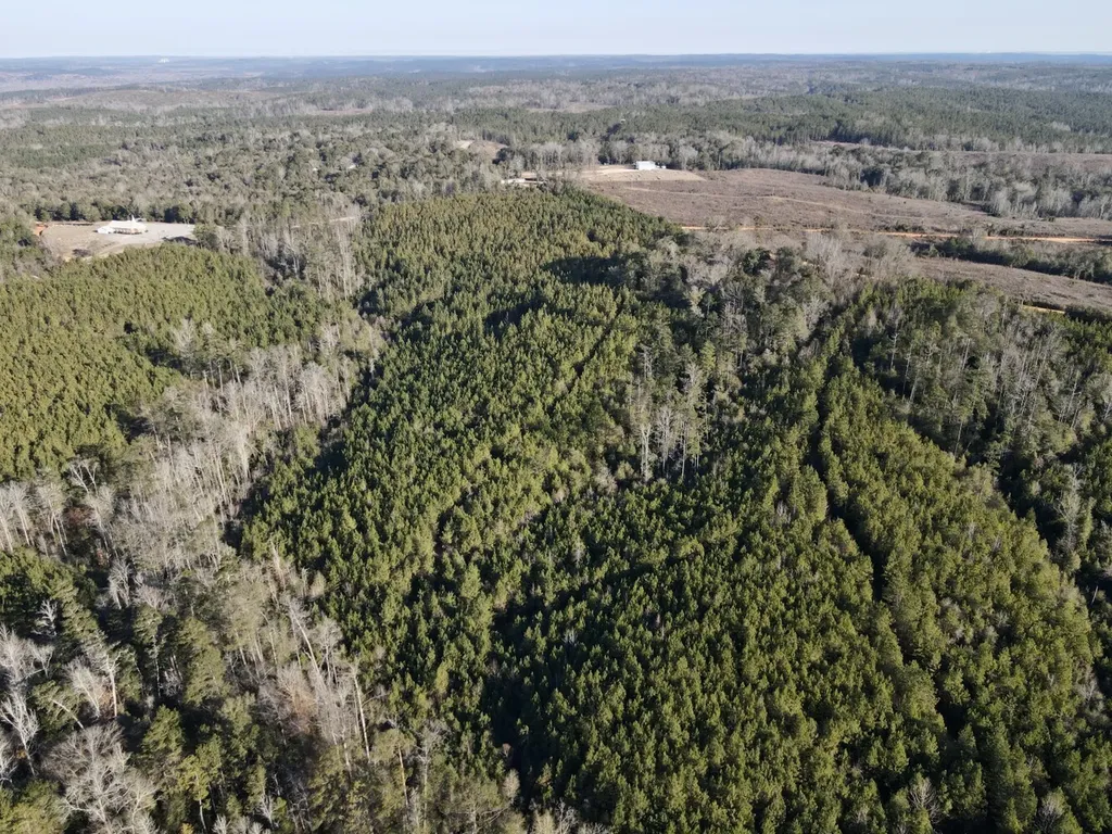 0 Amityville Road Whatley AL 36482