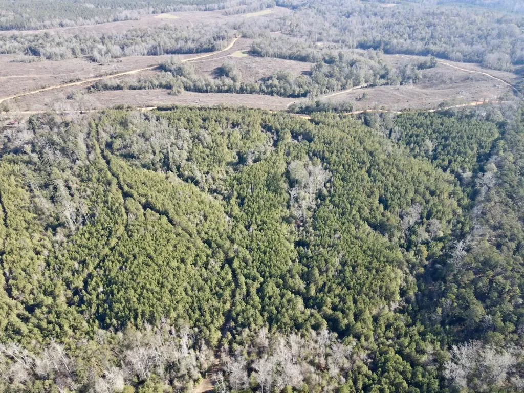 0 Amityville Road Whatley AL 36482