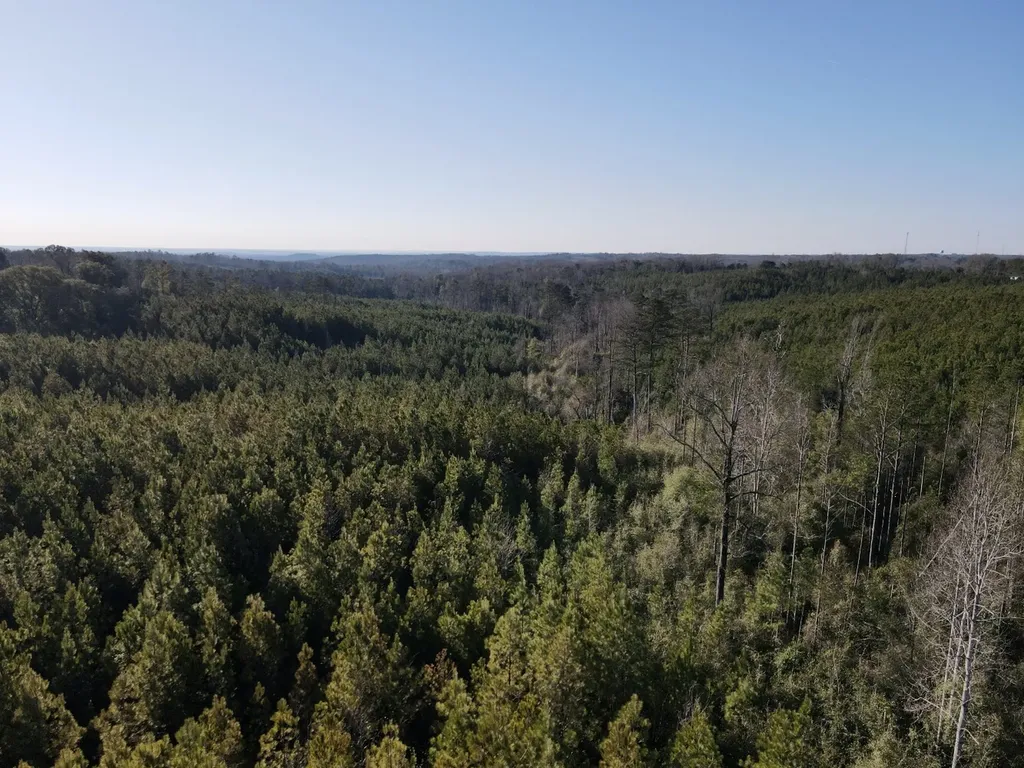 0 Amityville Road Whatley AL 36482